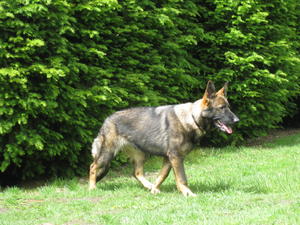 Maddy at 6 months