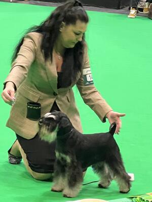 Fiji Crufts 2024
