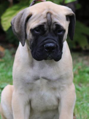 Boy @ 13 weeks now 16 weeks