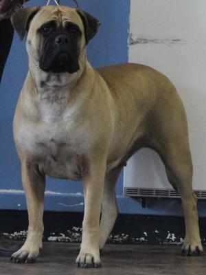 Dame Licassa Princess Tia at Islekeeper