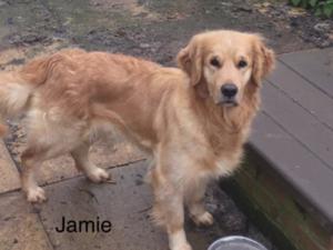 Jamie
