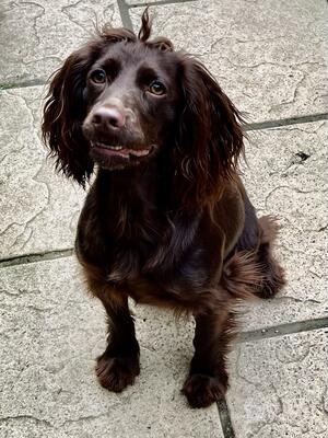 Millie