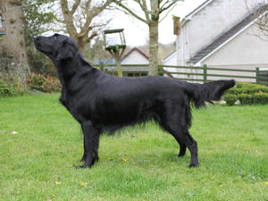 Roxy standing
