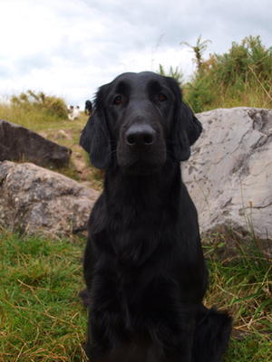 Layla at 2 years and 5 months