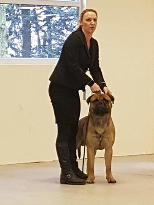 RUPERT 1ST PLACE POST GRADUATE DOG BBA