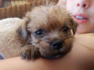 Just had a bath!
