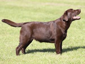 At Just 6 mths