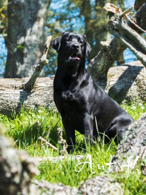 Finn 18 mths