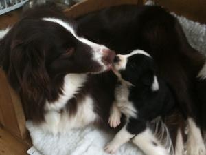 Luna kissing her baby brother