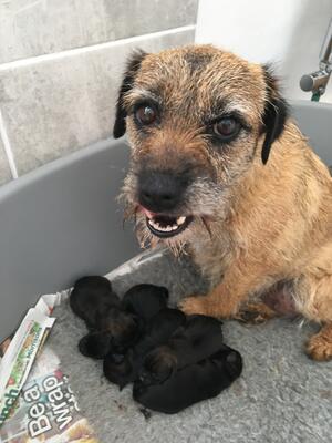 Fly with her babies