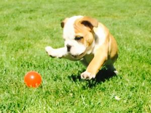 In car for 6 week check