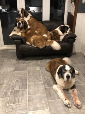 Moana with her Sister, Mum and Great Auntie