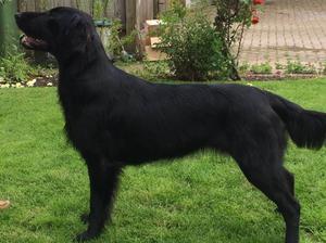 Georgie 14 months