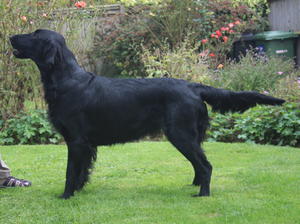 Bridget aged 2