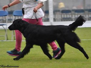 Watson moving 14 months