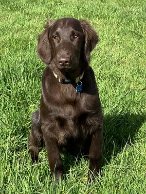 Layla 4 months