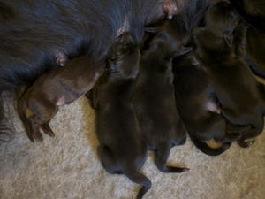 Feeding time