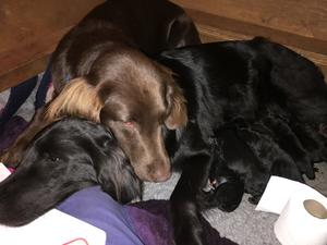 Islay giving Mum some moral support