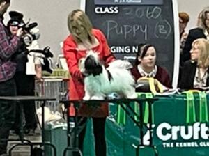 Crufts