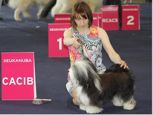 Crinkle at Championnat of France 2016