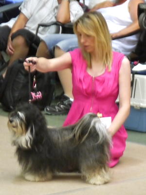 Ludwigshafen 2013: Wins her 6th CACIB