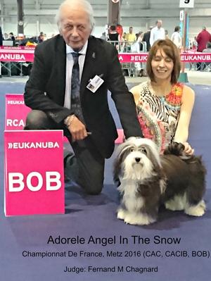 Crinkle as BOB in France