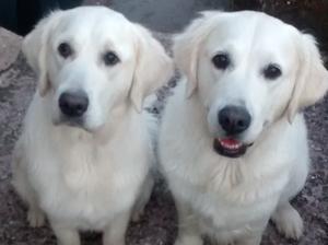 Scarlet & Betty