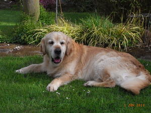 Spencer at 7 years old