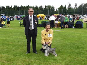 Mountslemish Dirty Harry