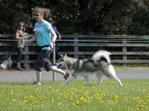 Summer on the move