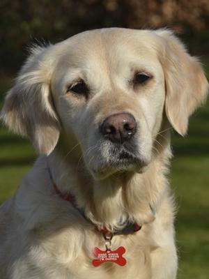 Amiapoil Airini of Kilimatinde