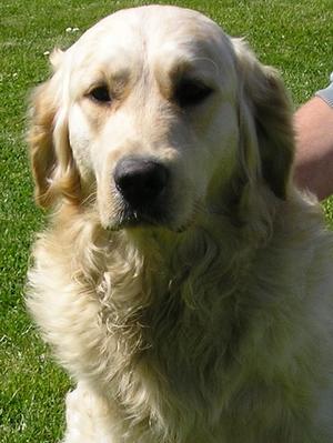 Sam - 17 May 2015