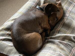 Betty asleep