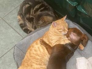 Sharing is caring