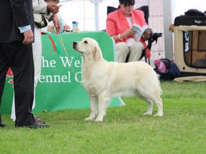 Neha in puppy class!