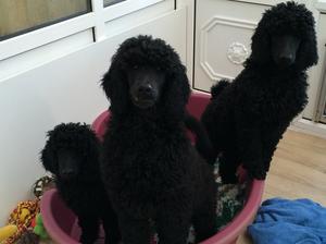 Big Boy and baby Girl