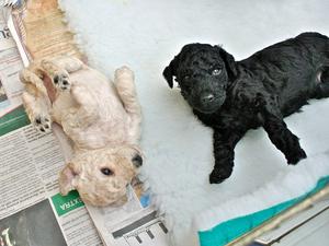 My sister the odd one out !