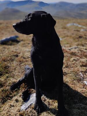 Tay enjoying a day on the hill