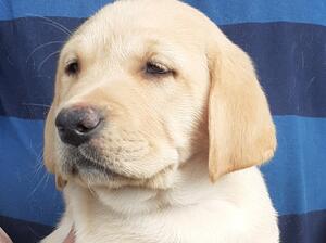 Female 8 weeks 16.4.22