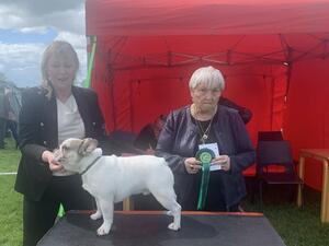 Judge FCI .Mrs Olga Doleisova . (CZ) Green star