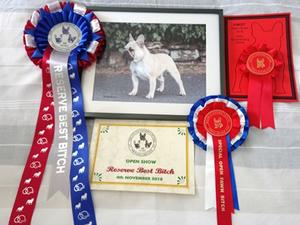 1ST MID LIMIT BITCH.1ST SOB.