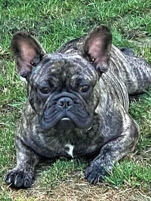 Raiden at seven months