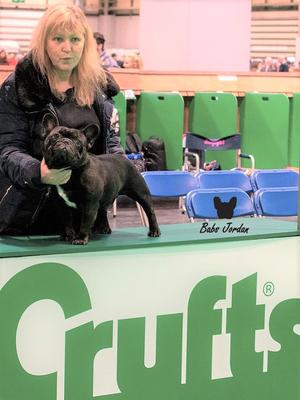Feniton Fredrick at Raglenary. Crufts 2020