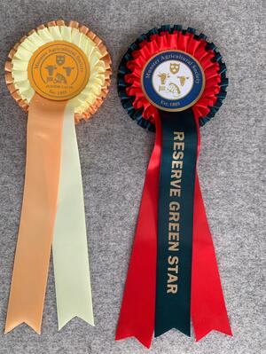 MUNSTER INTER CH SHOW ,