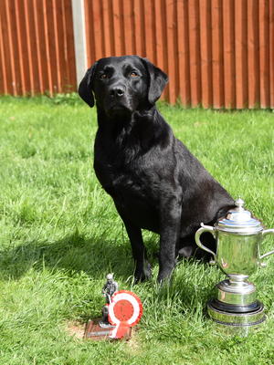 Henergy Rushin To Be