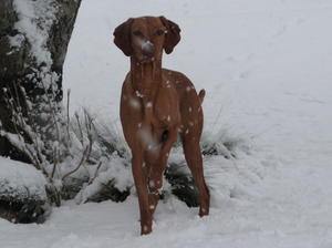 Loved playing in the snow