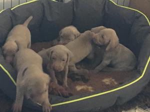 Exploring new bed