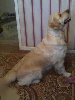Wendy looking for mum