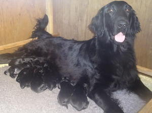 Lilly and her family
