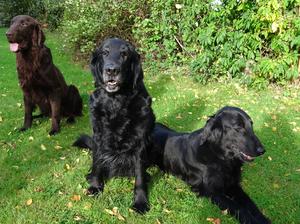 Brownie with grandma & mum
